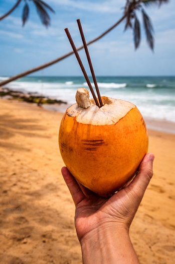 King Coconut